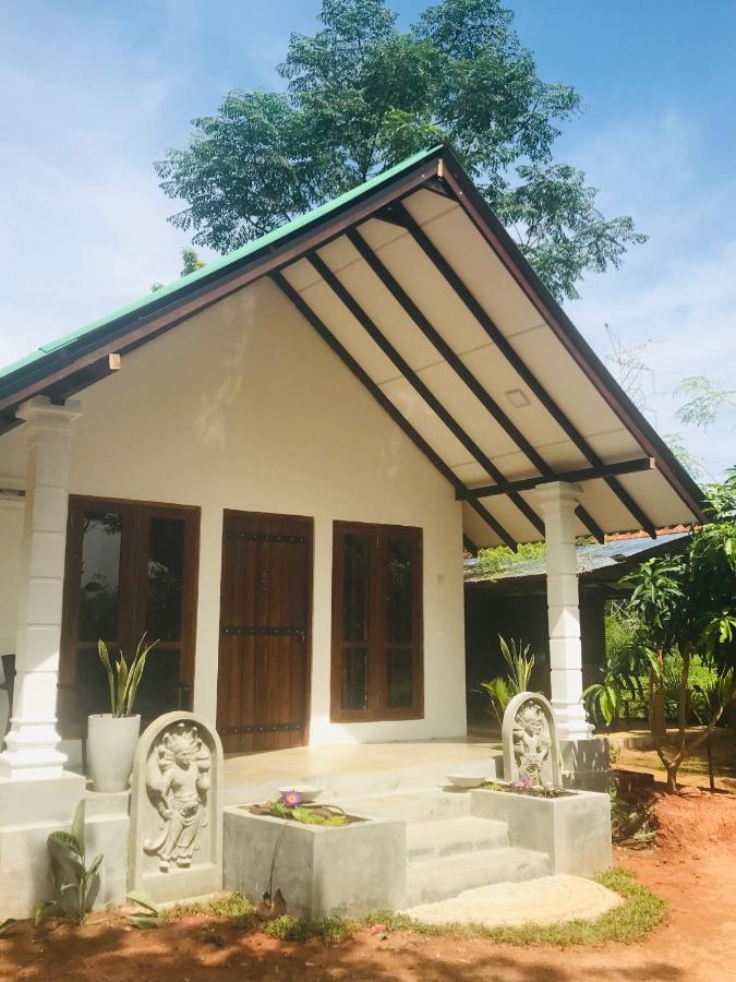 The Wild Culture Otel Sigiriya Dış mekan fotoğraf